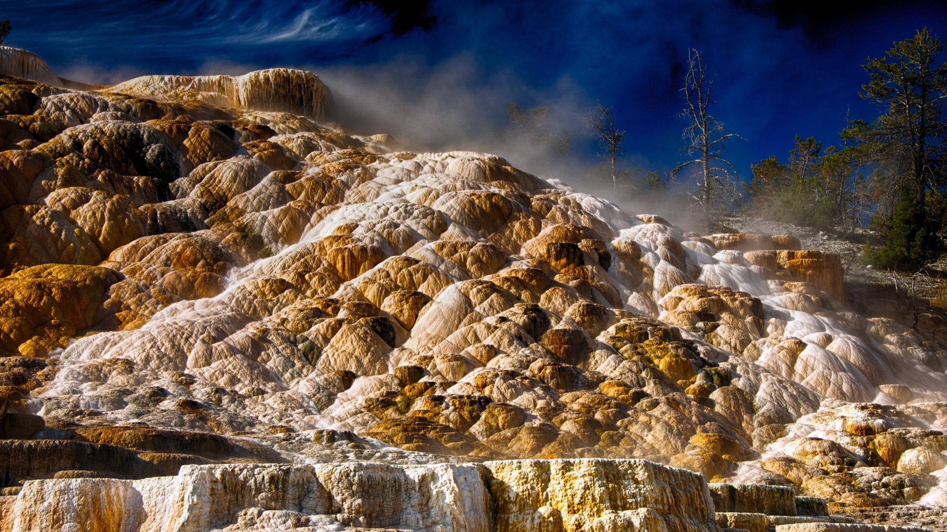 mammoth hot springs, , wyoming, ,  , , yellowstone national park, 