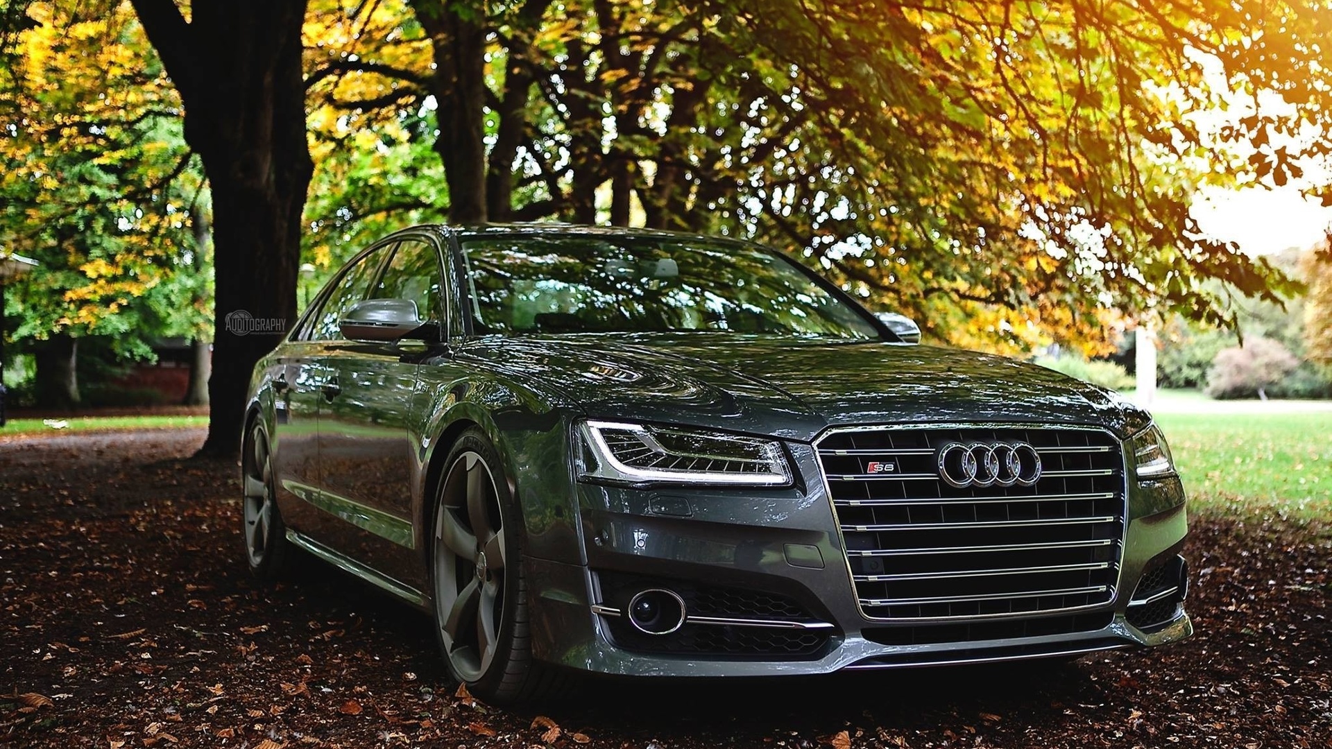 audi, s8, , 