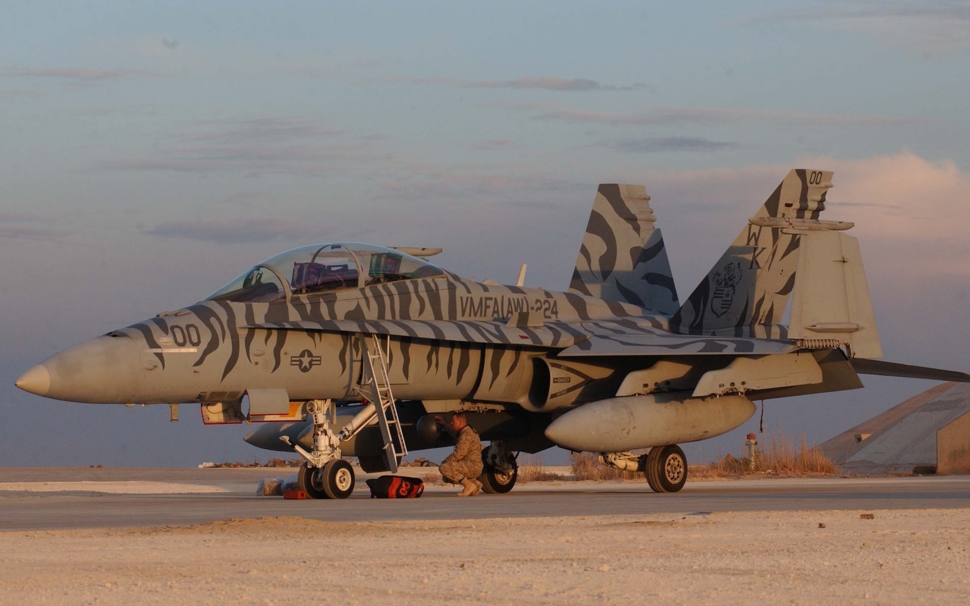 hornet, al asad airbase, mcdonnell douglas, fa-18d, usa, , 