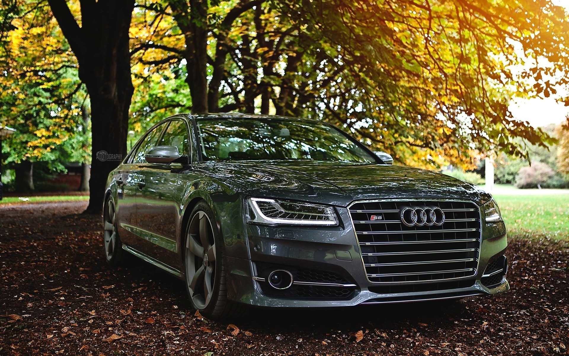 audi, s8, , 