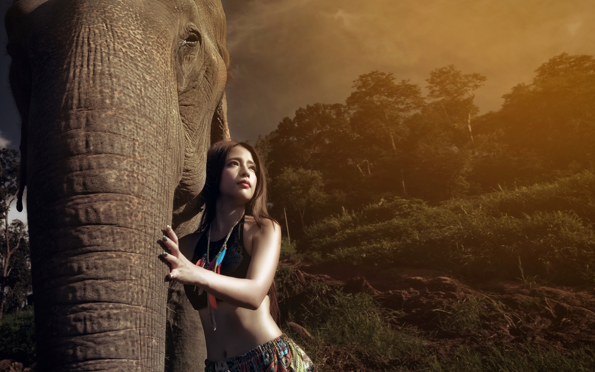 , , , , , , , elephant, jungle, girl