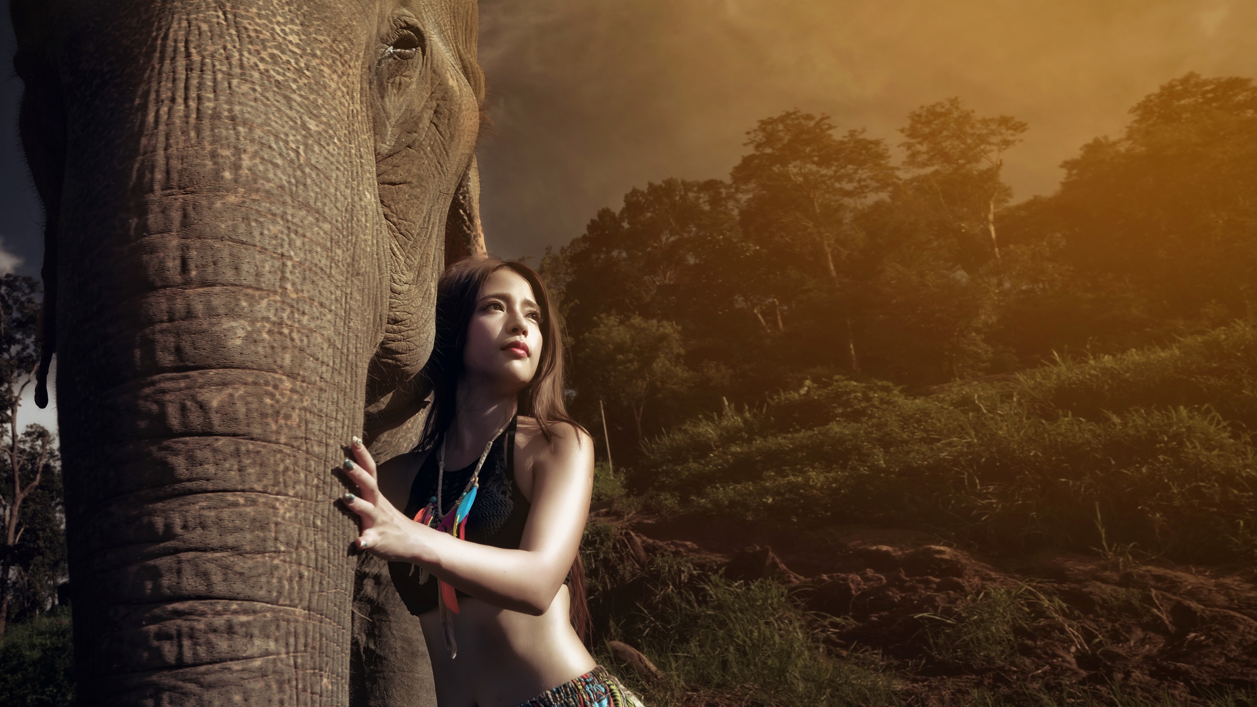 , , , , , , , elephant, jungle, girl