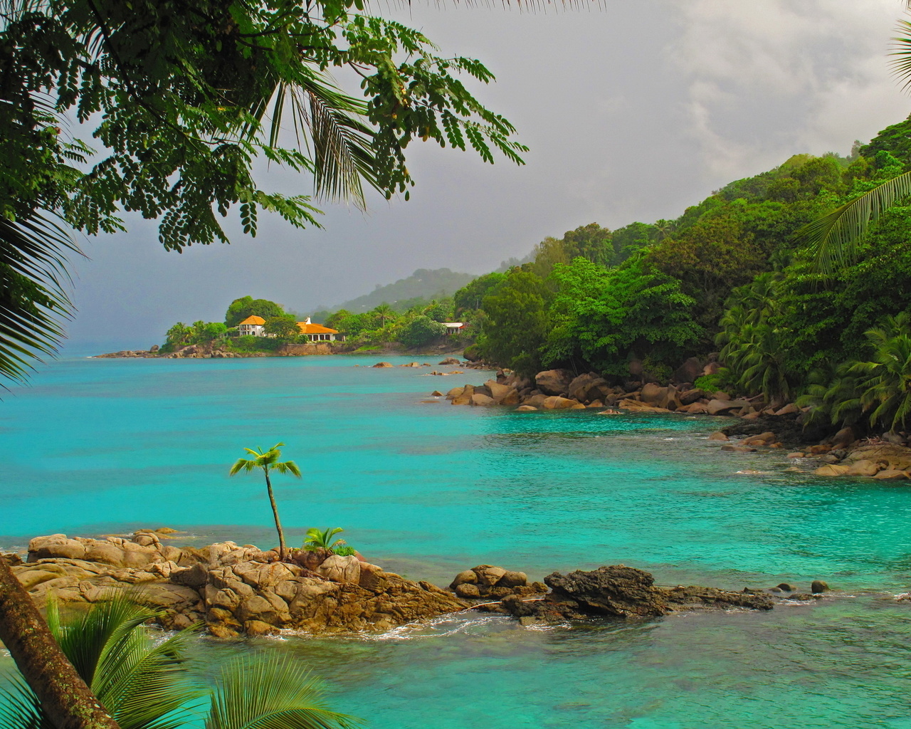 sea, tropics, palm trees, mountains, stones, island