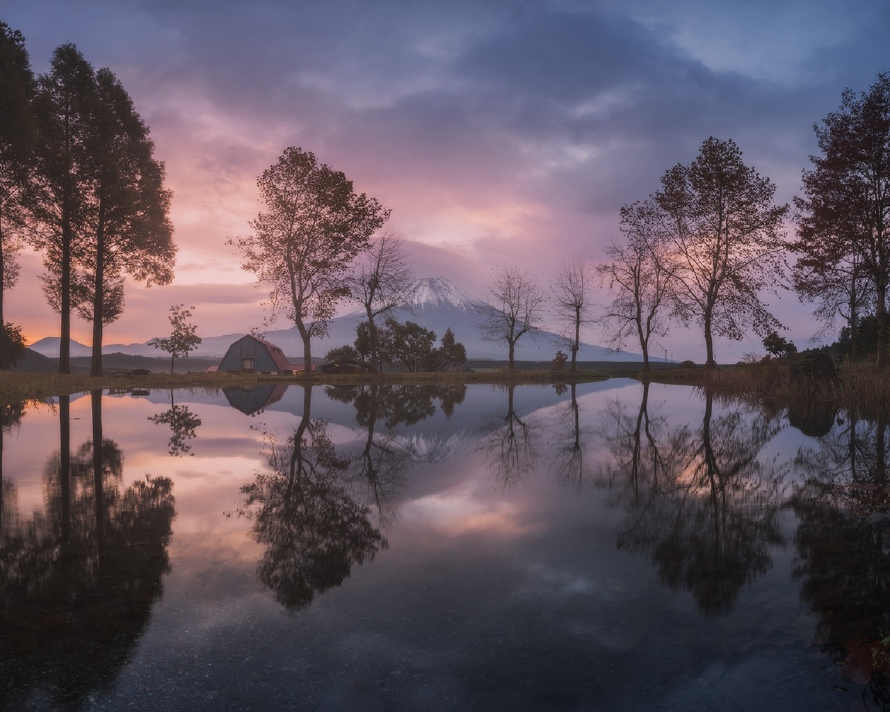 , , , , , fuji-san, ,  