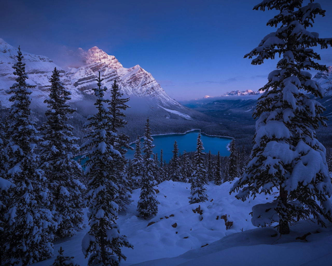 peyto lake, banff national park, , , 