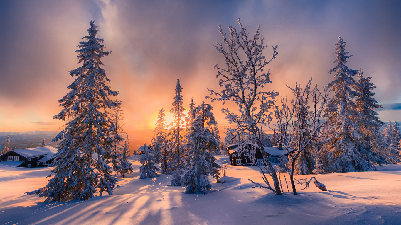 , , , , jorn allan pedersen, , 