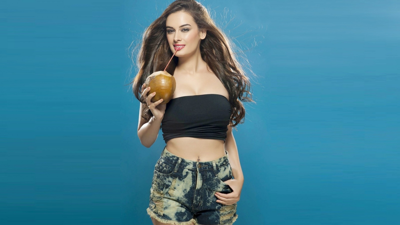 girl, , evelyn sharma, actress, brunette, sexy, , celebrity, bollywood, beauty, model, , beautiful, , 