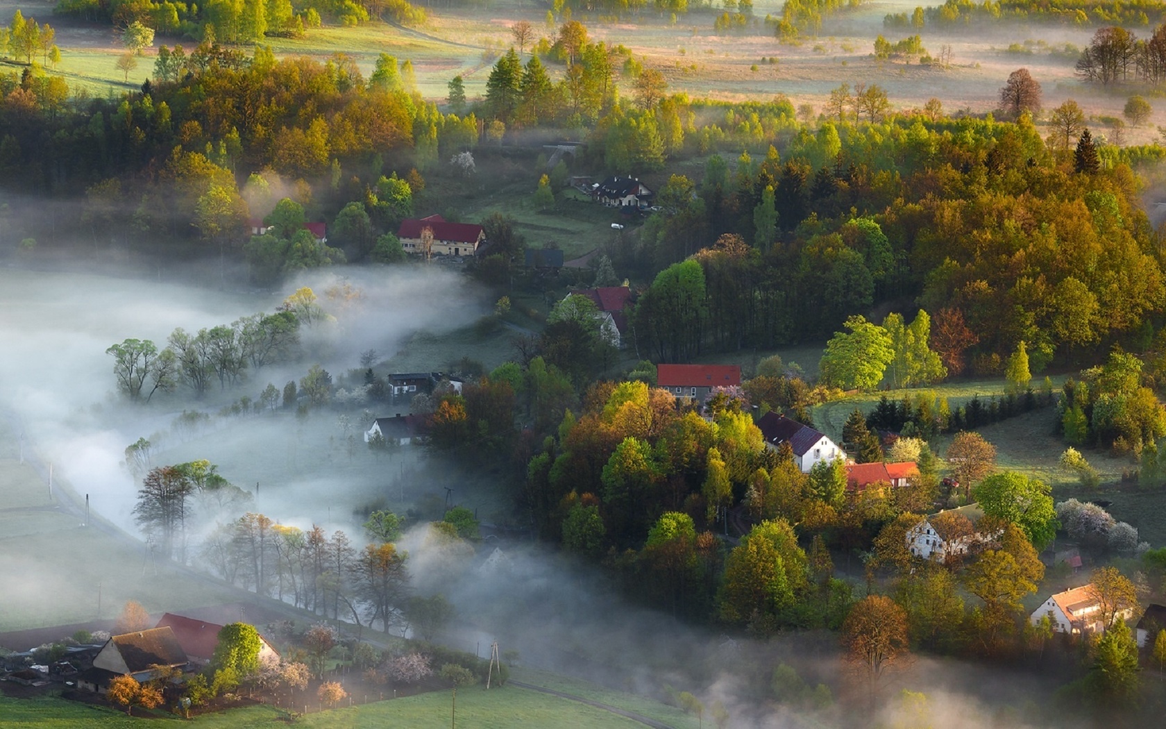 landscape, canon, mist, light, spring, iza, darek