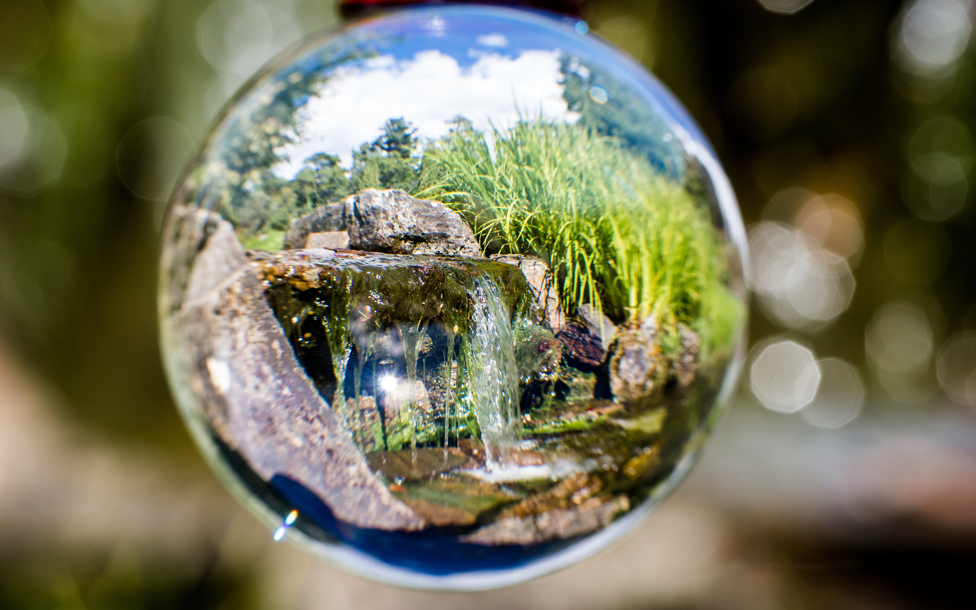 reflection, glass ball, oslo, botanical, garden, norway, 