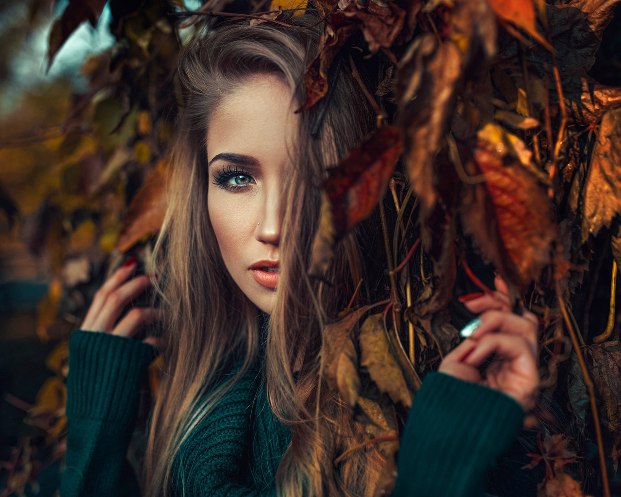 women, face, portrait, leaves, depth of field, , , , , 