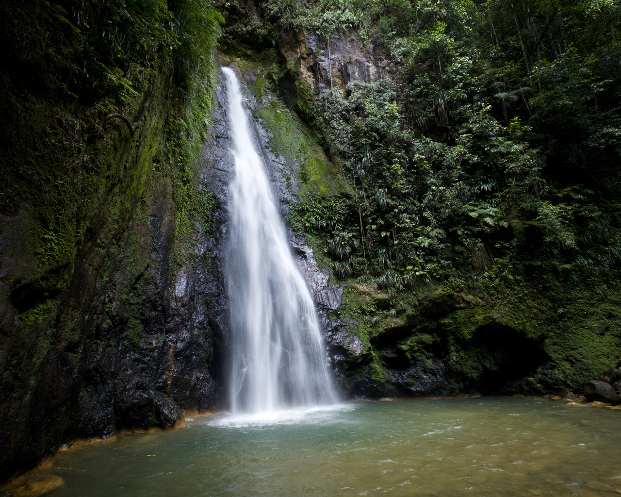 country, dominica, 