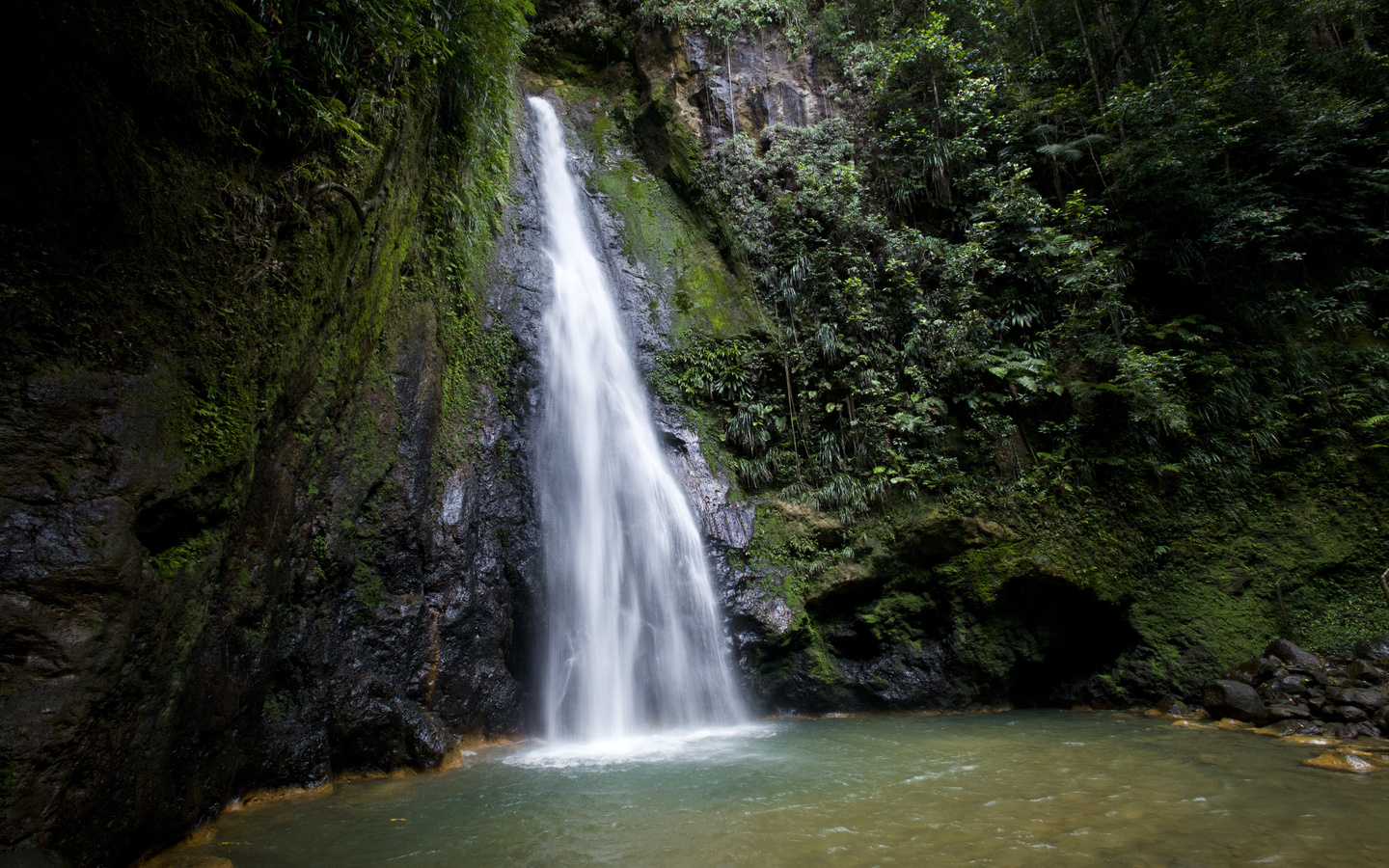 country, dominica, 