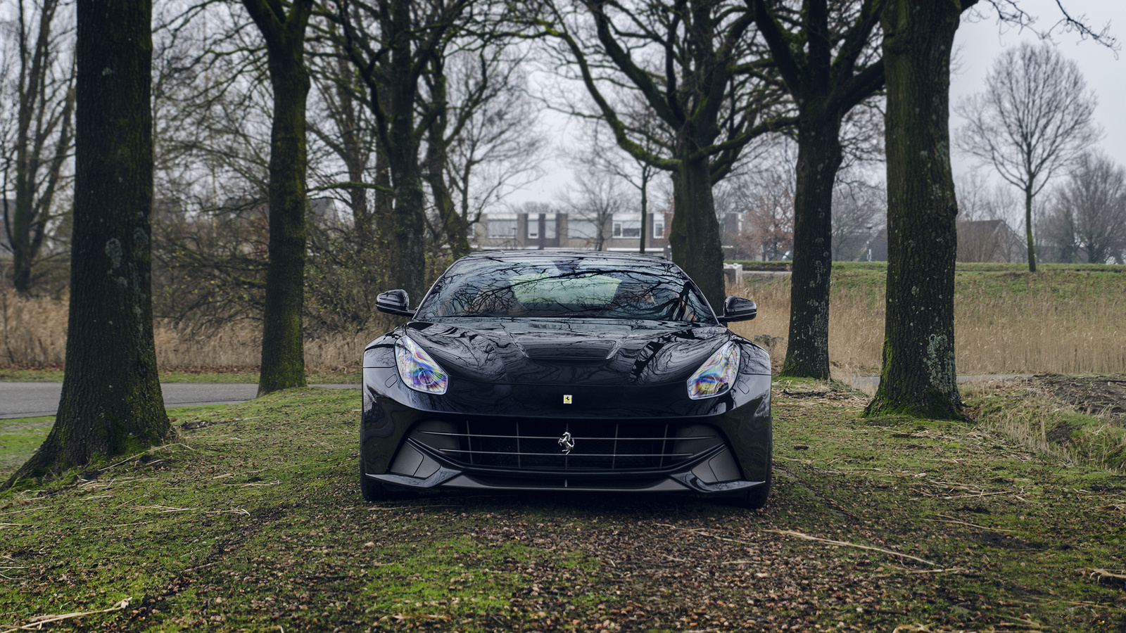 ferrari, f12, , 