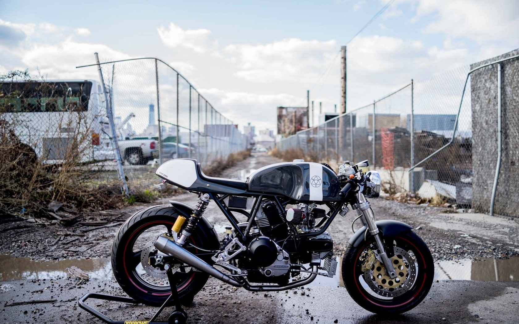 ducati, cafe racer, 