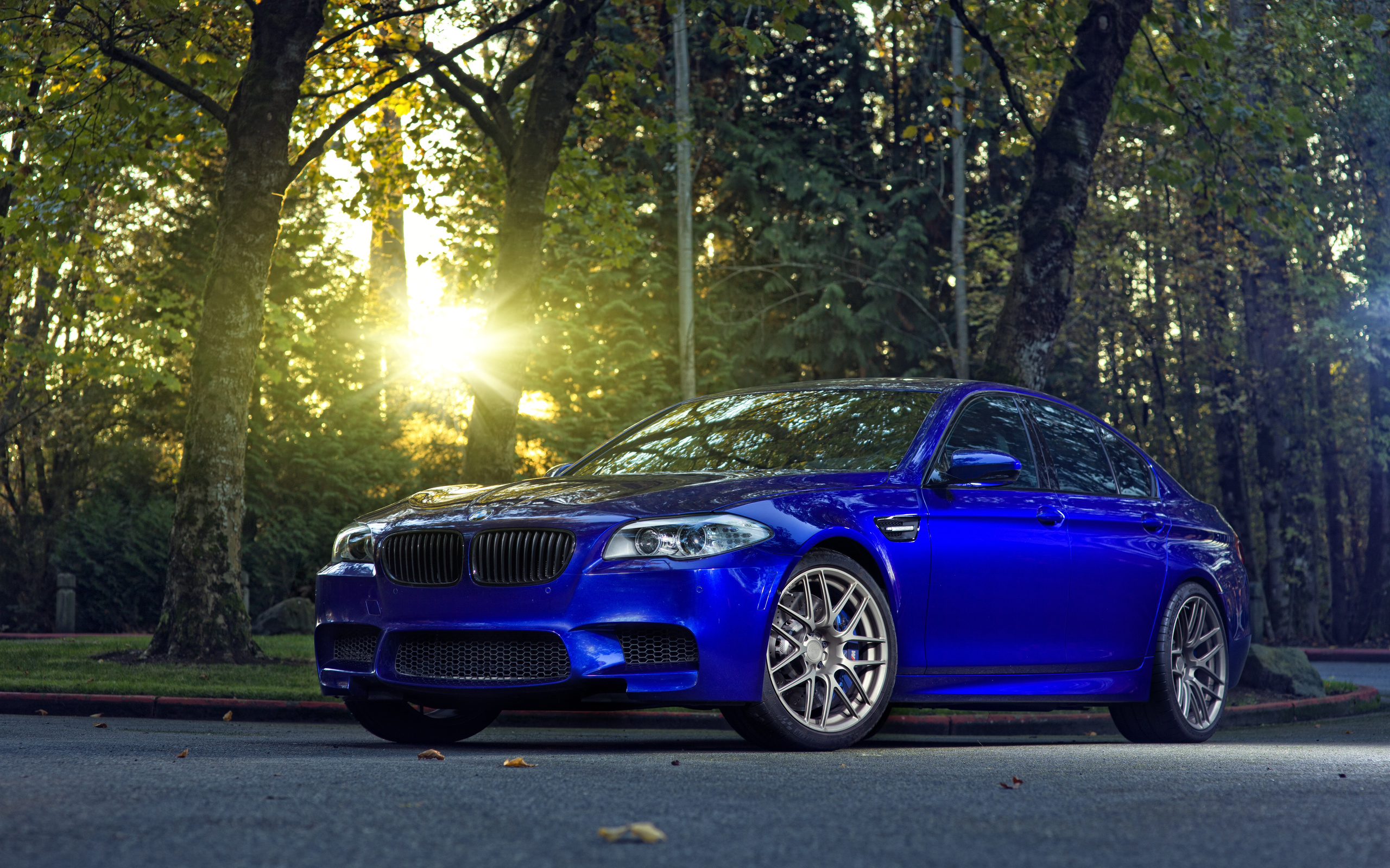 blue, trees, the sun glare, m5, bmw, monte carlo blue, bmw, f10