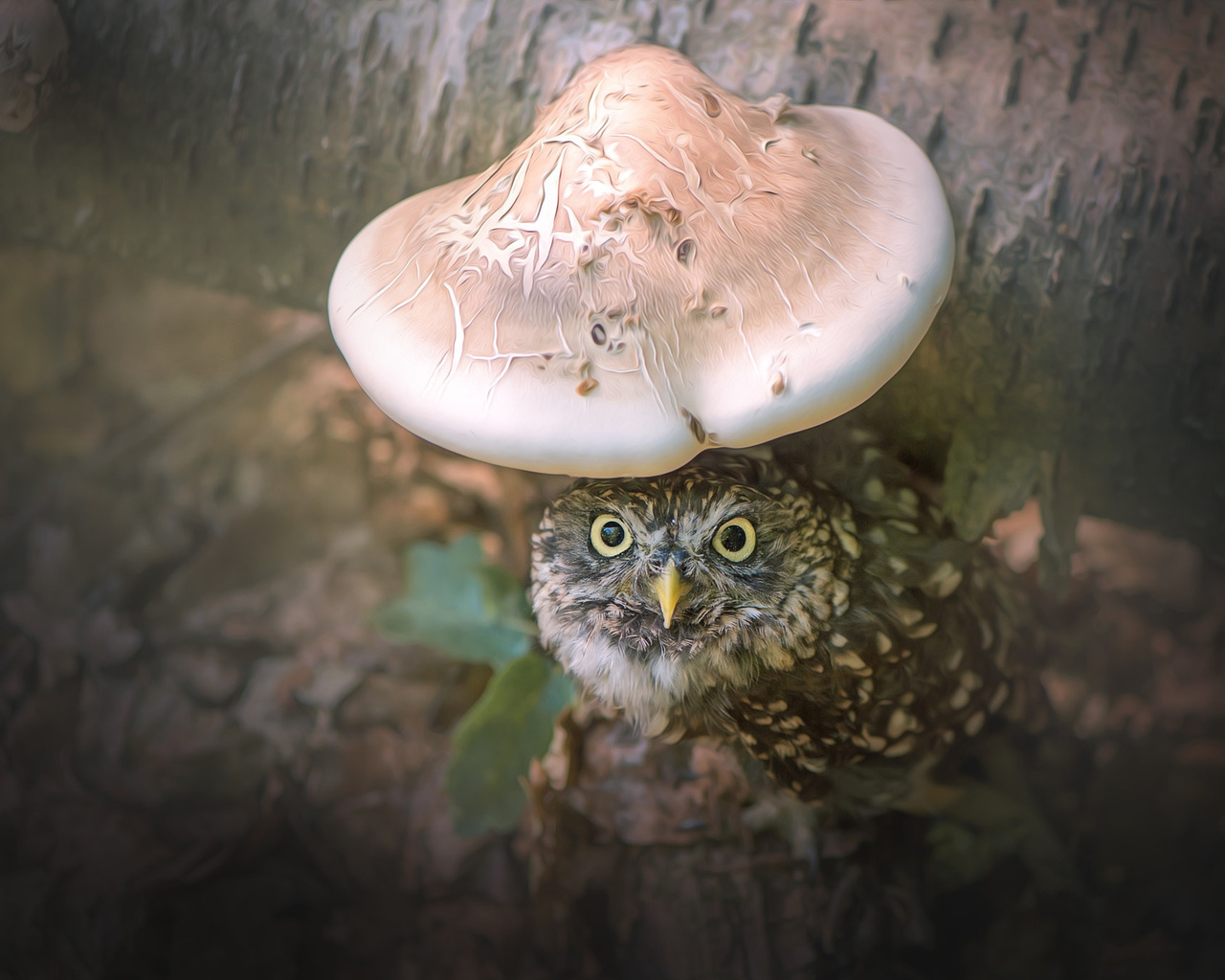 , , , , , ,  , tanja brandt