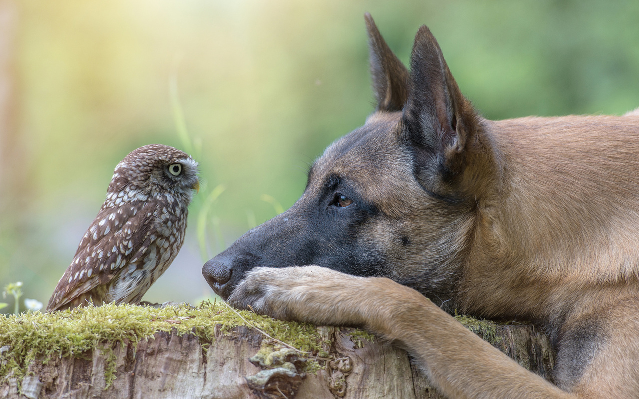 , , , , , , , , ,,,,,,,,,,,,, ,, tanja brandt