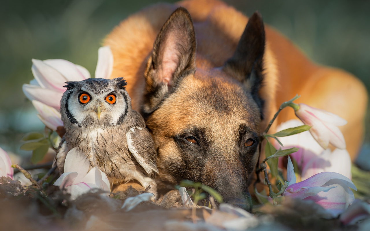 , , , , , , , , , tanja brandt, ,,, , , 