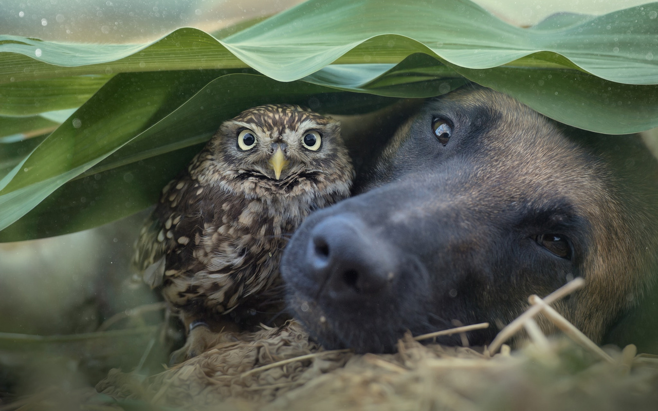 , , , , , , , , , tanja brandt, ,,,,