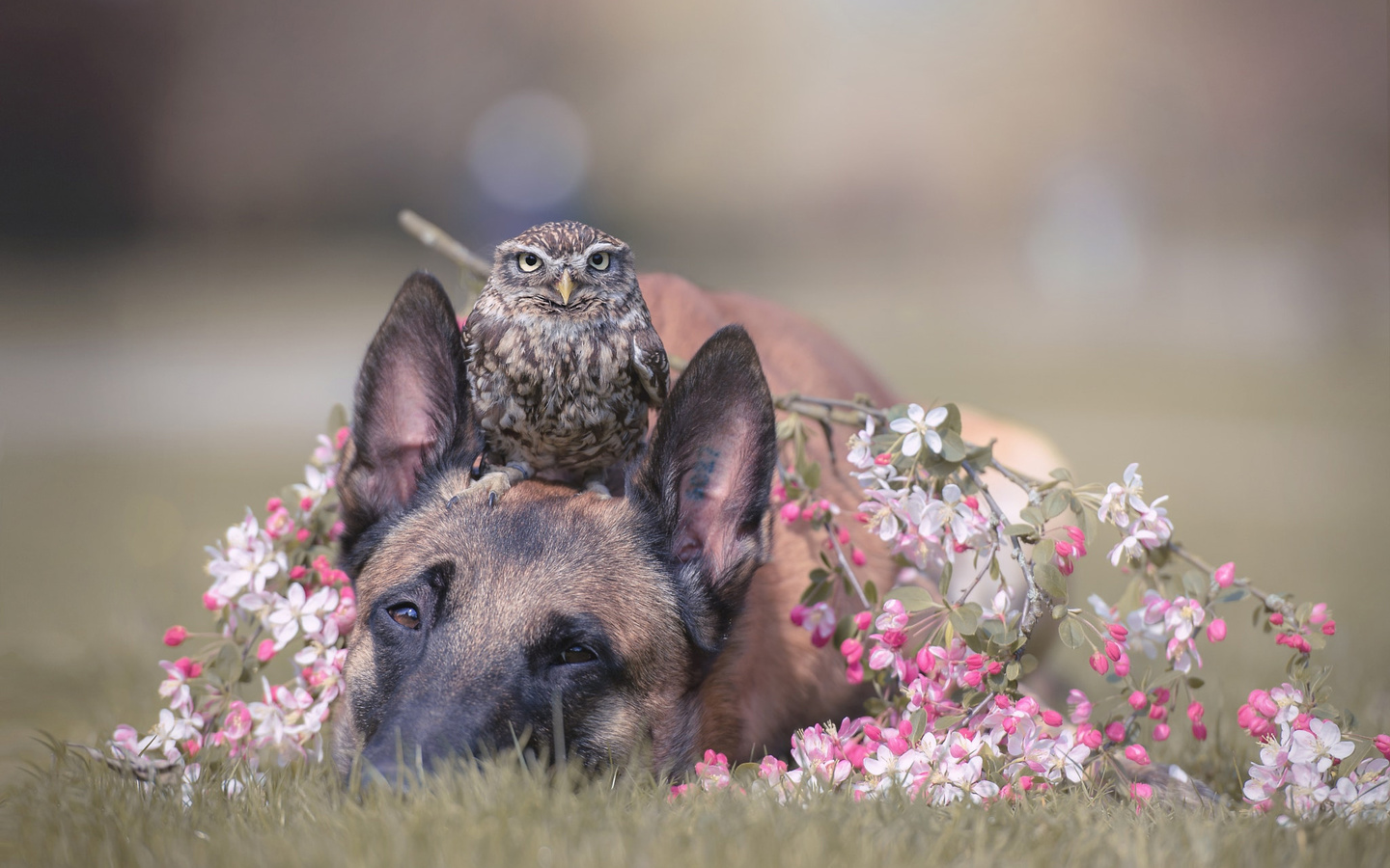 , , , , , , , , , , tanja brandt, 