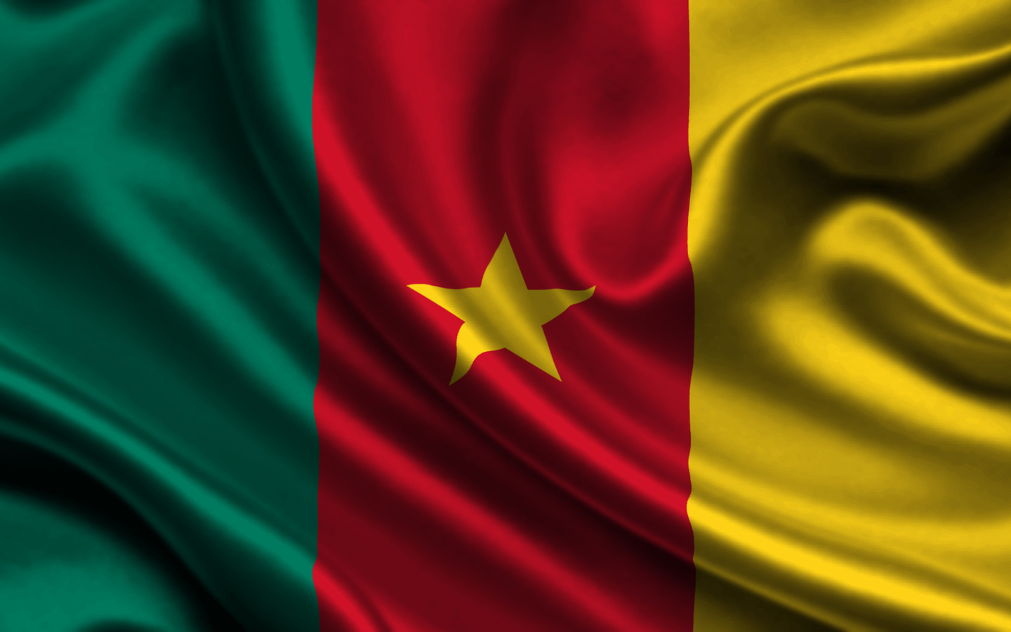 , , 3d, cameroon, flag