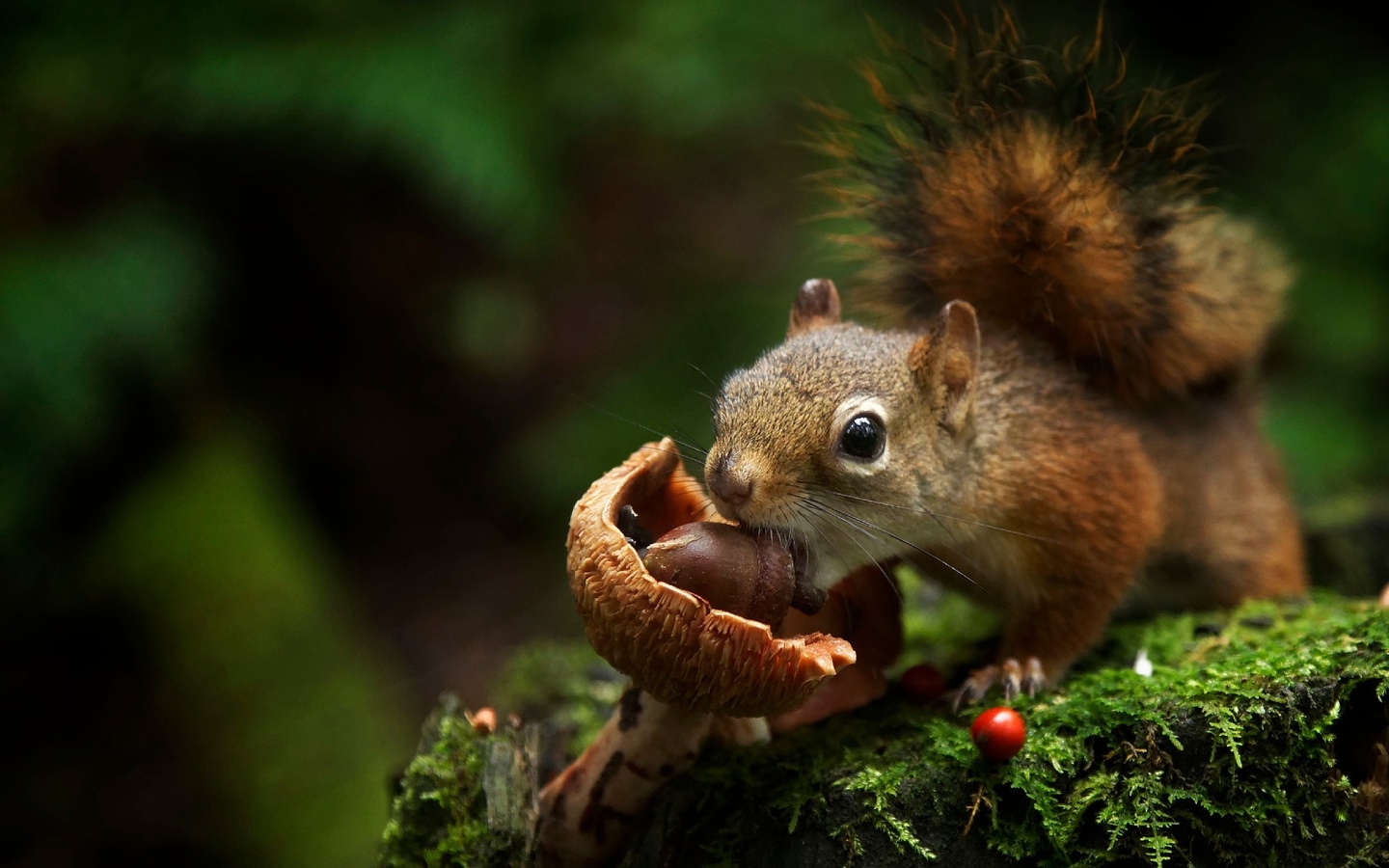 , , , , , , andre villeneuve