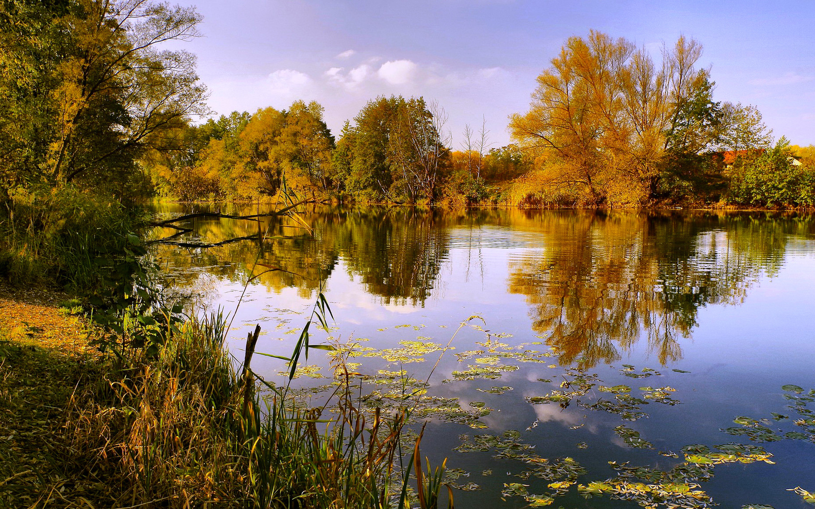 Осенний деревенский пруд