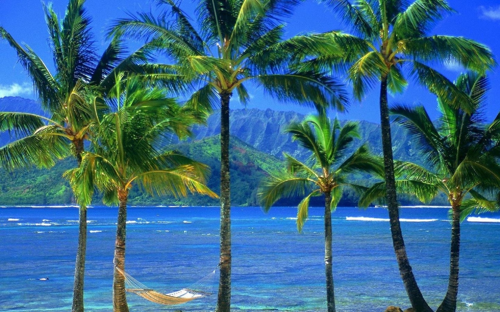 nature, water, palm, hammock, hawaii