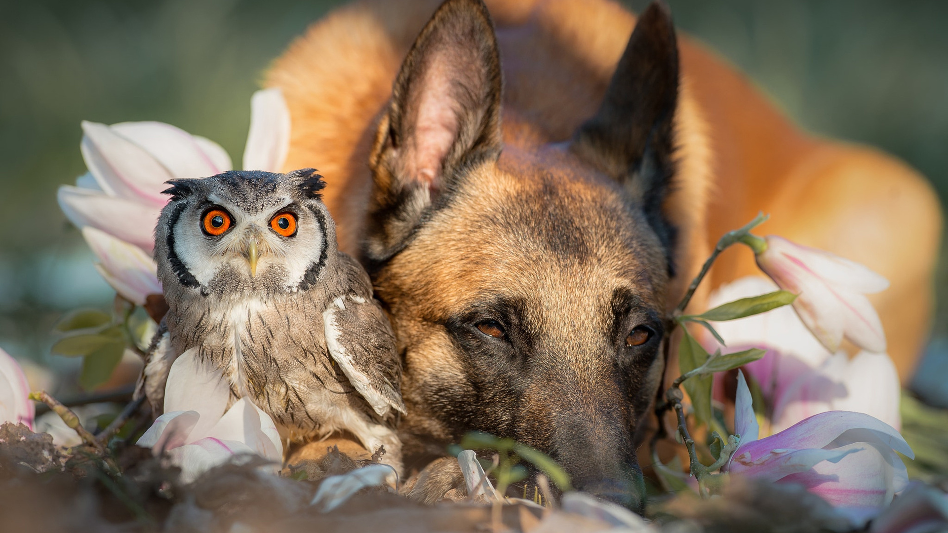 , , , , , , , , , tanja brandt, ,,, , , 