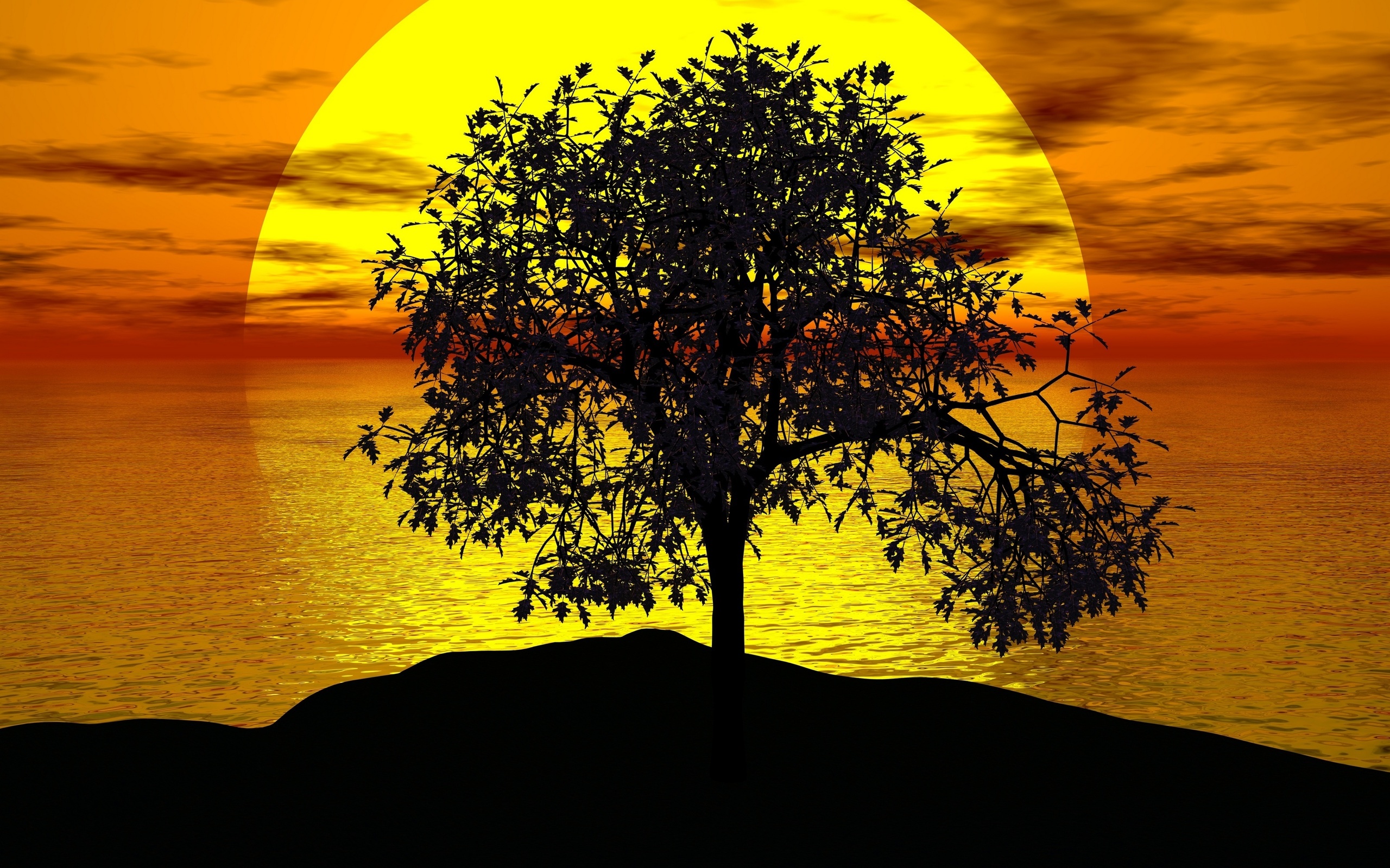 Дерево на фоне солнца
