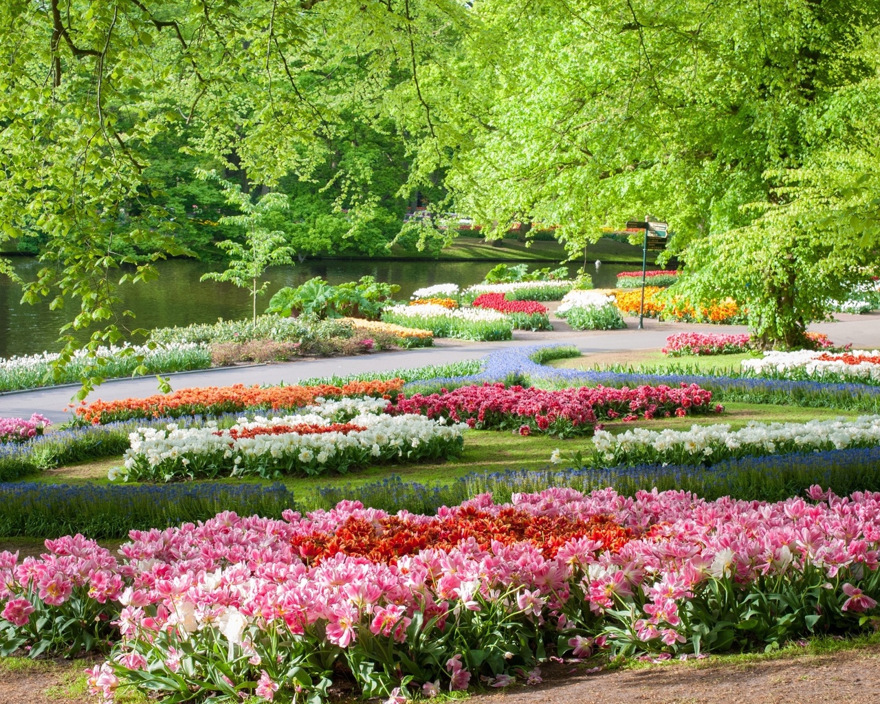 , , , , , , keukenhof, gardens, 