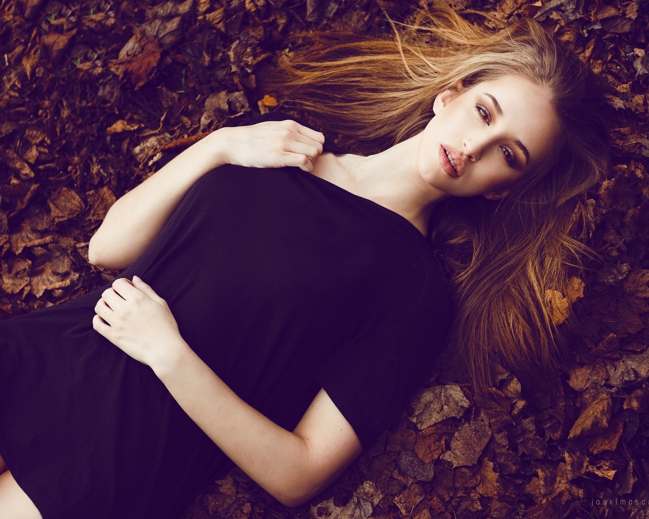 women, top view, black dress, blonde, leaves, portrait, lying on back, ,  ,  , , , ,   