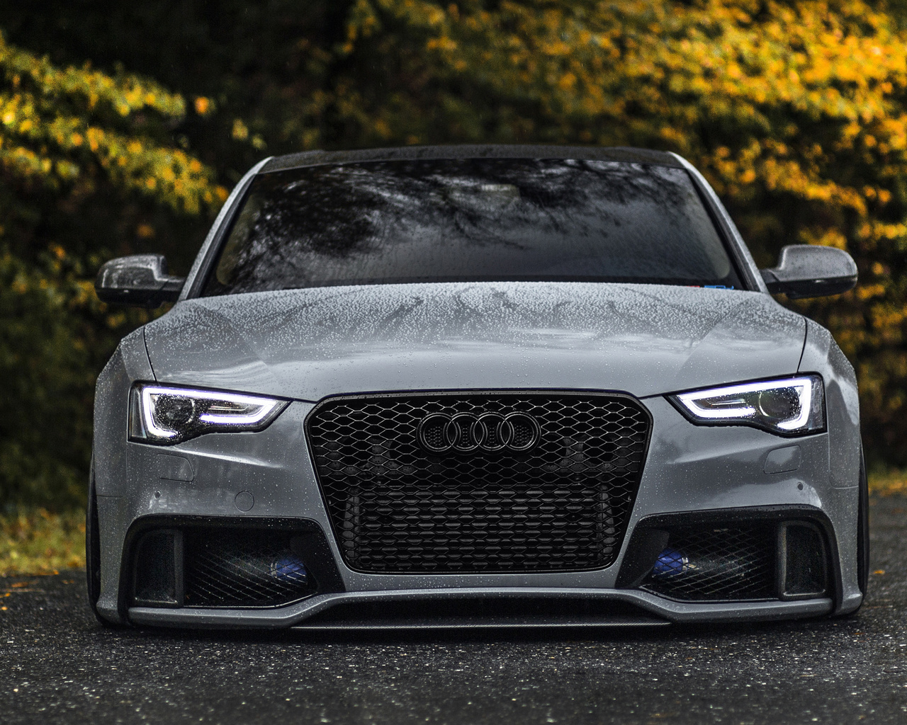 audi, rs5