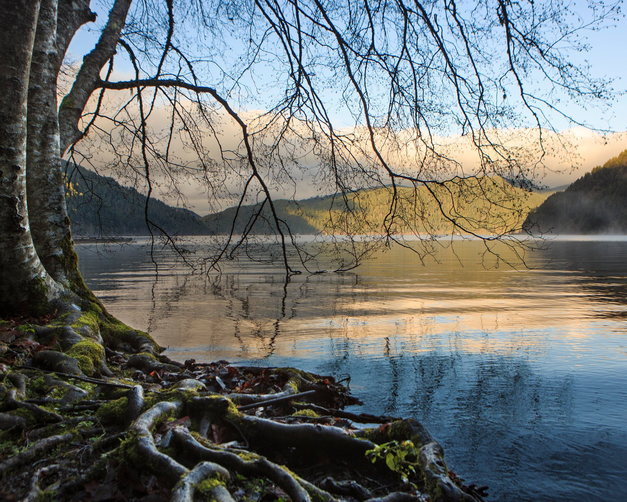 , , olympic national park, , , , , , 