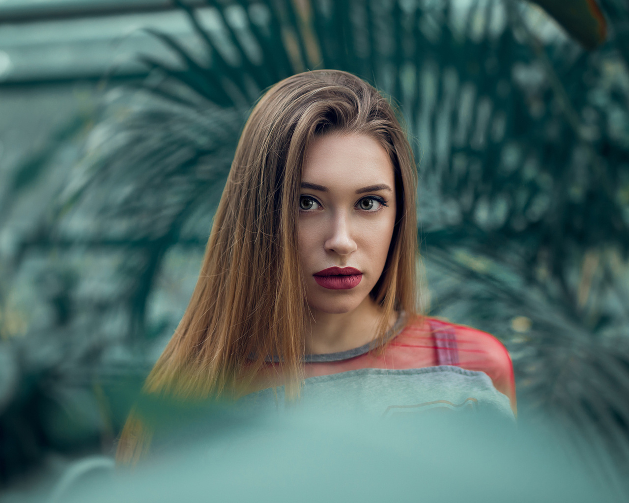 women, blonde, face, portrait, depth of field, , , , , ,   