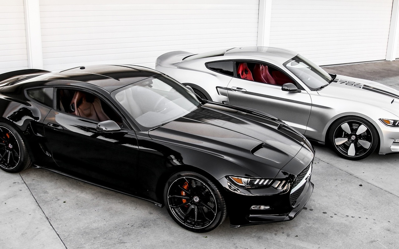 mustang, , 