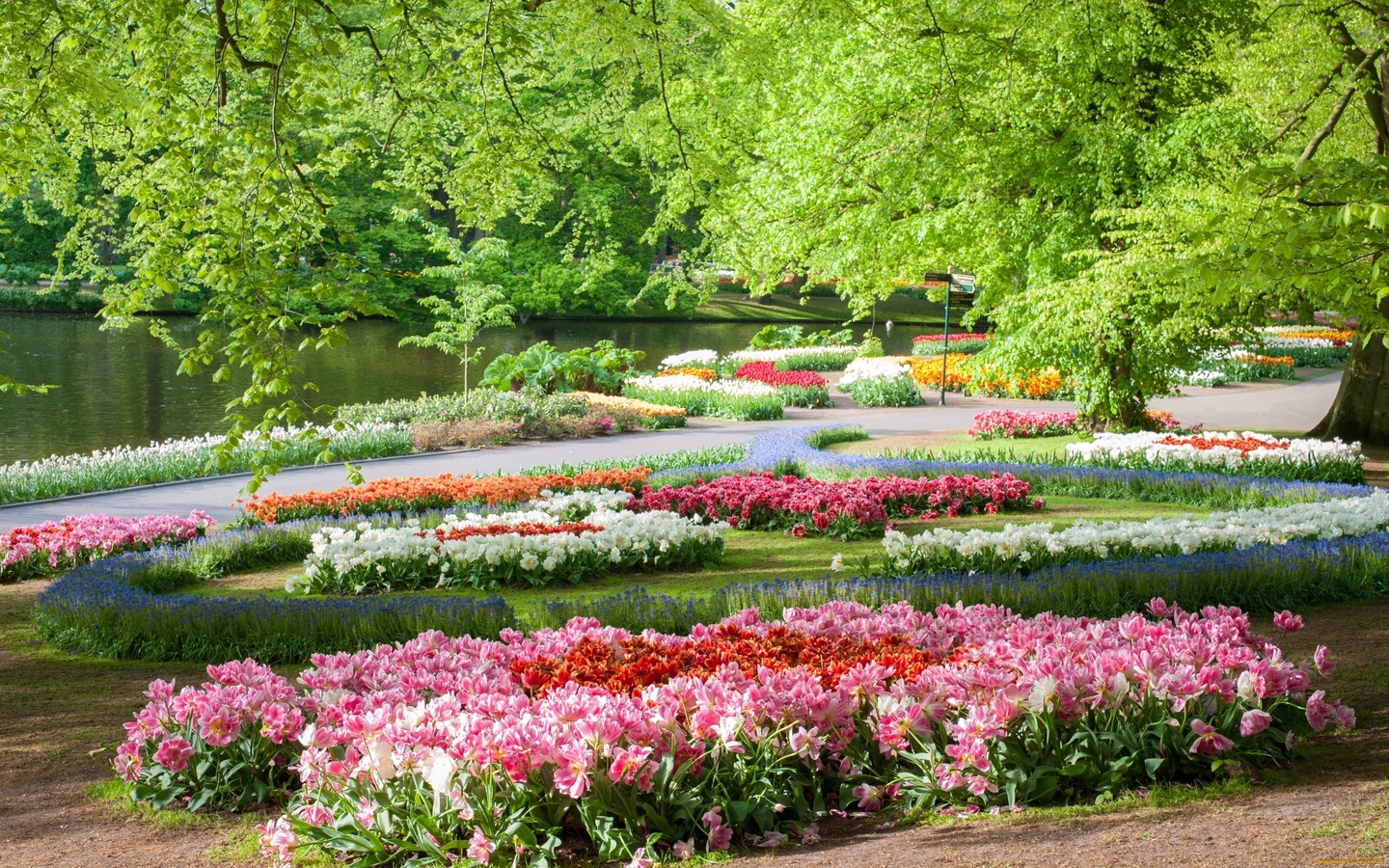 , , , , , , keukenhof, gardens, 