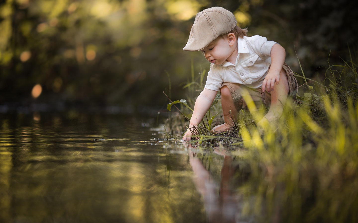 adrian c. murray, , , , , , , , 