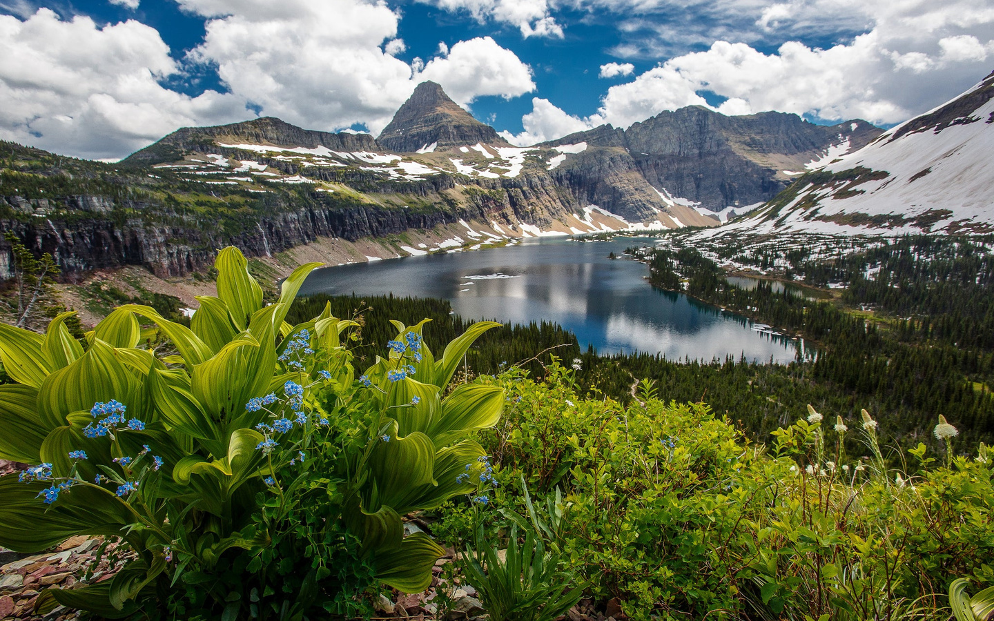 , , north america,  , montana, , , glacier national park, , , , , , , , 