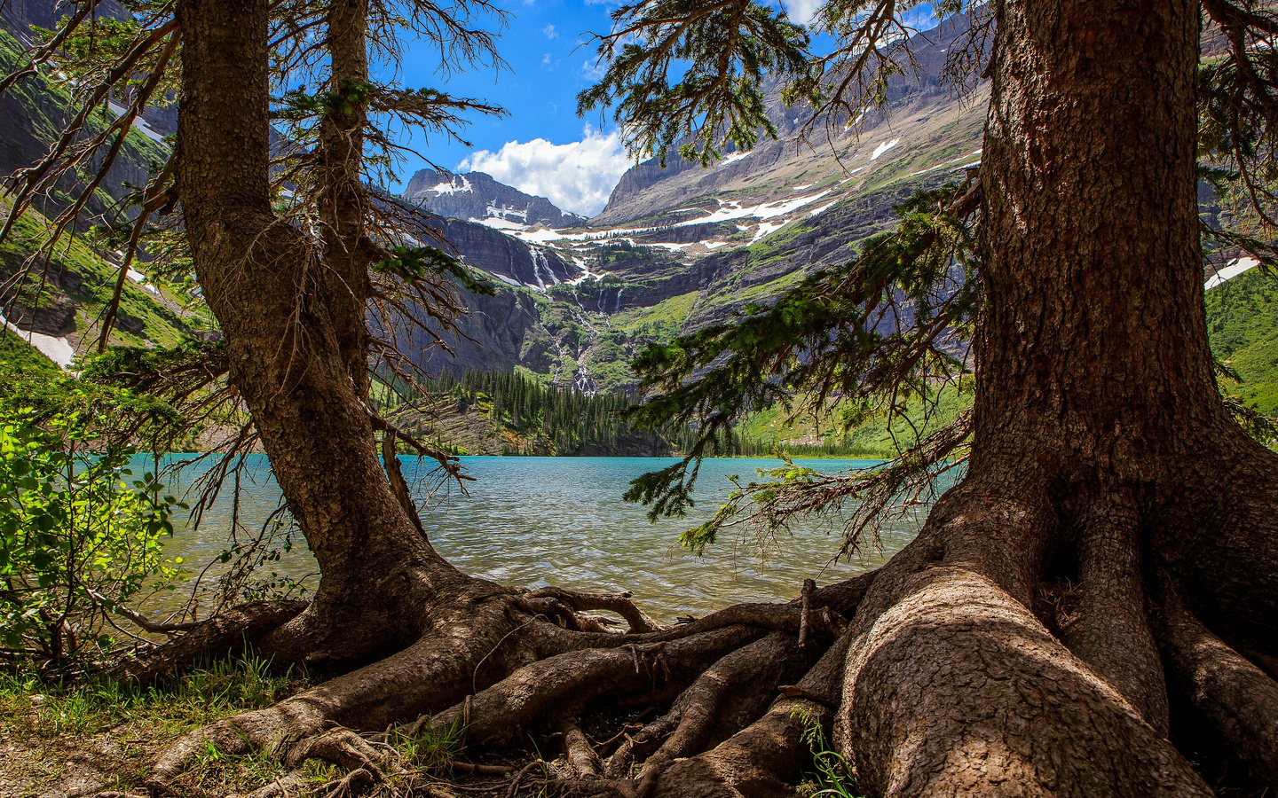 , , north america,  , montana, , , glacier national park, , , , 