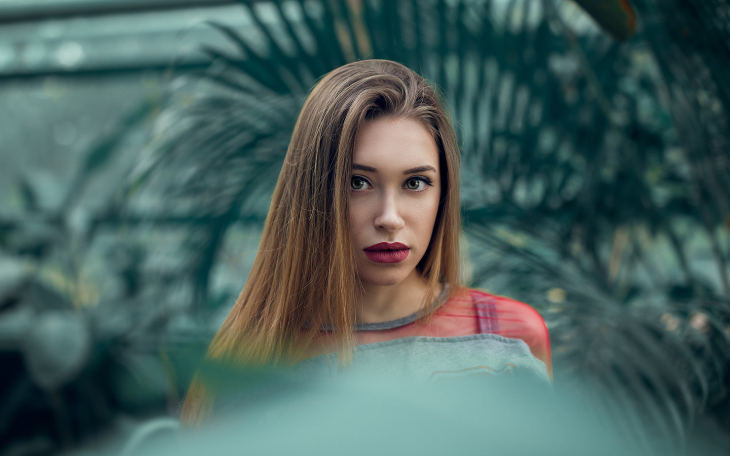 women, blonde, face, portrait, depth of field, , , , , ,   