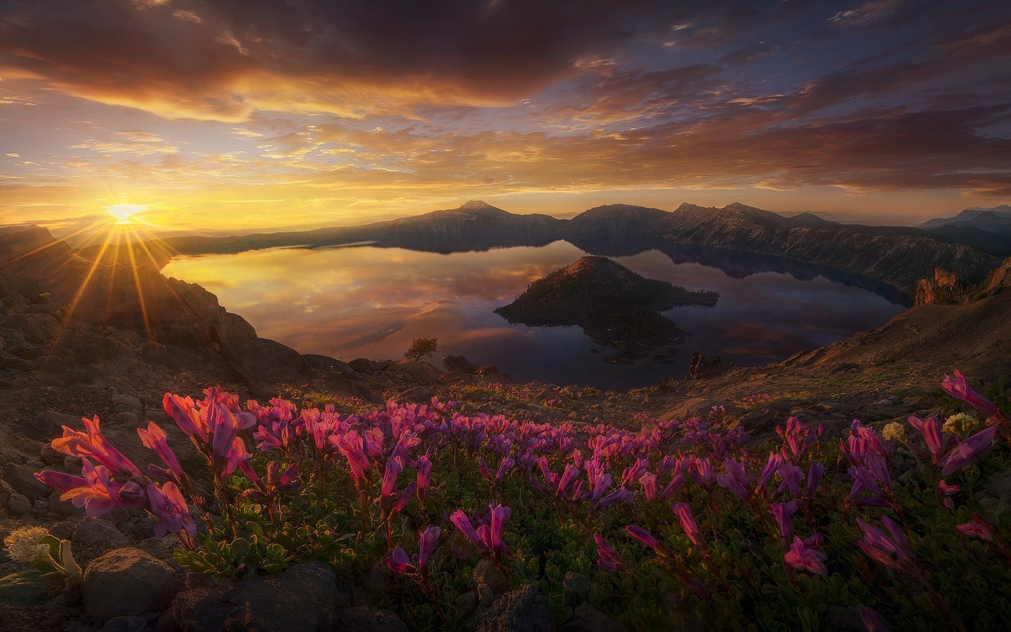 , , , , , , , , marc adamus