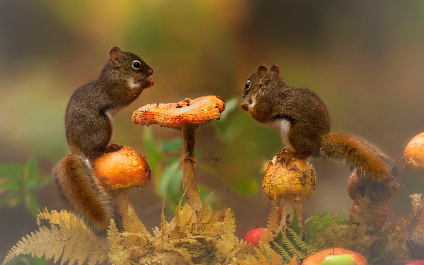 andre villeneuve, , , , , , , 