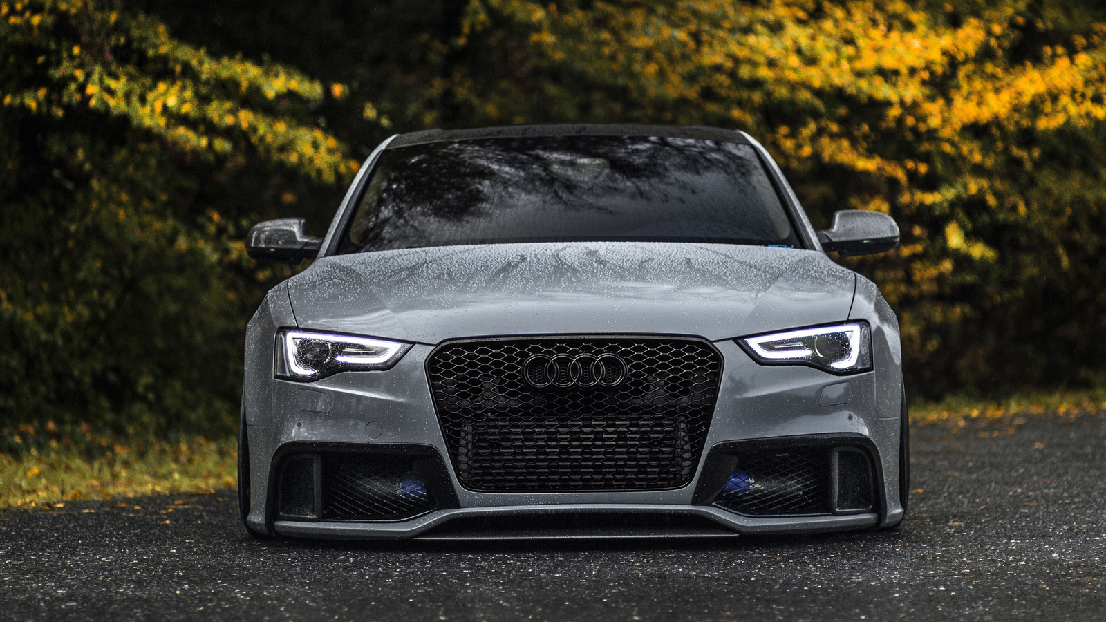 audi, rs5