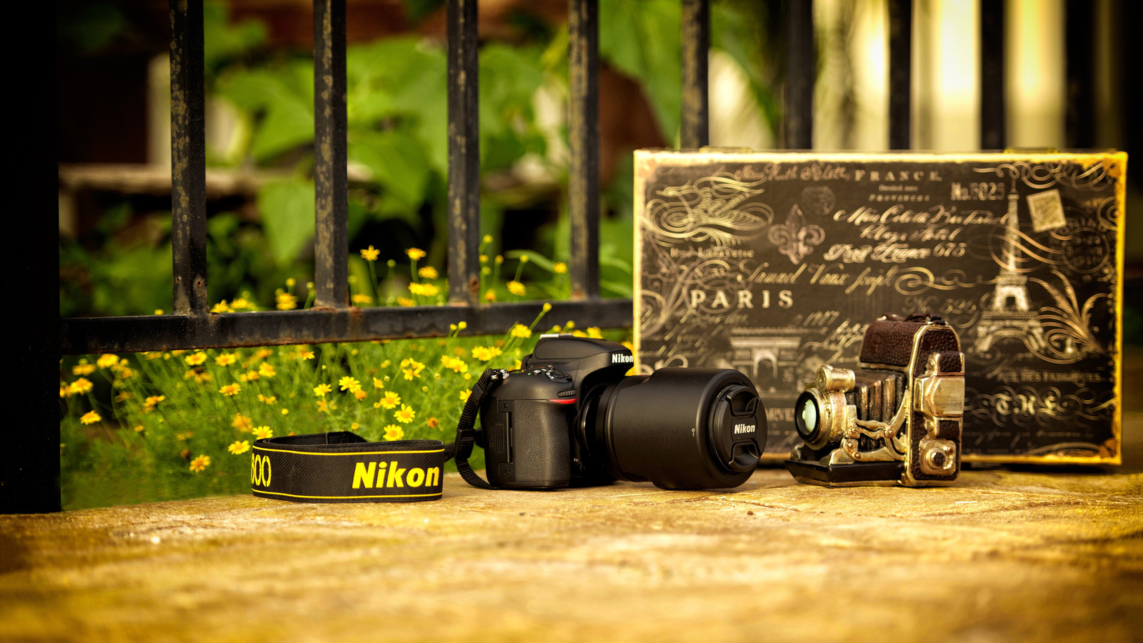 , nikon, , , 