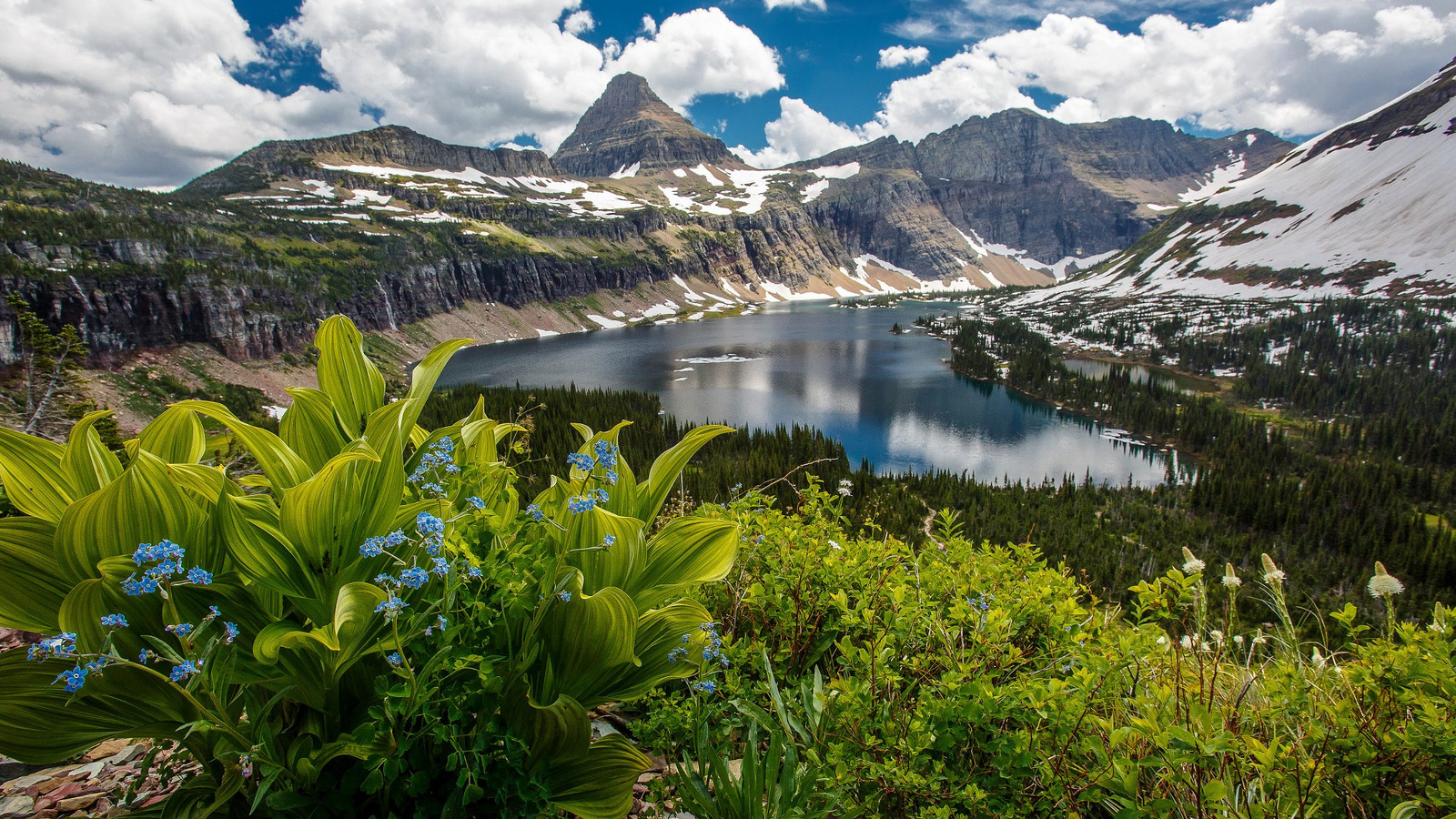 , , north america,  , montana, , , glacier national park, , , , , , , , 