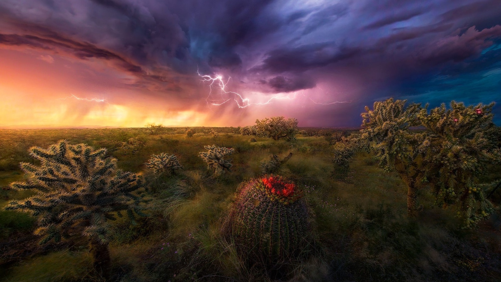 marc adamus, arizona, , , , , , 