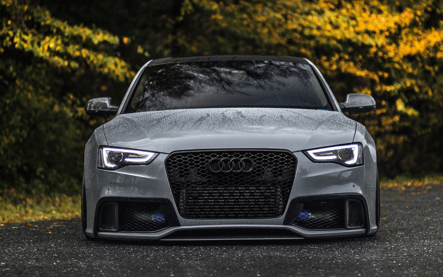 audi, rs5