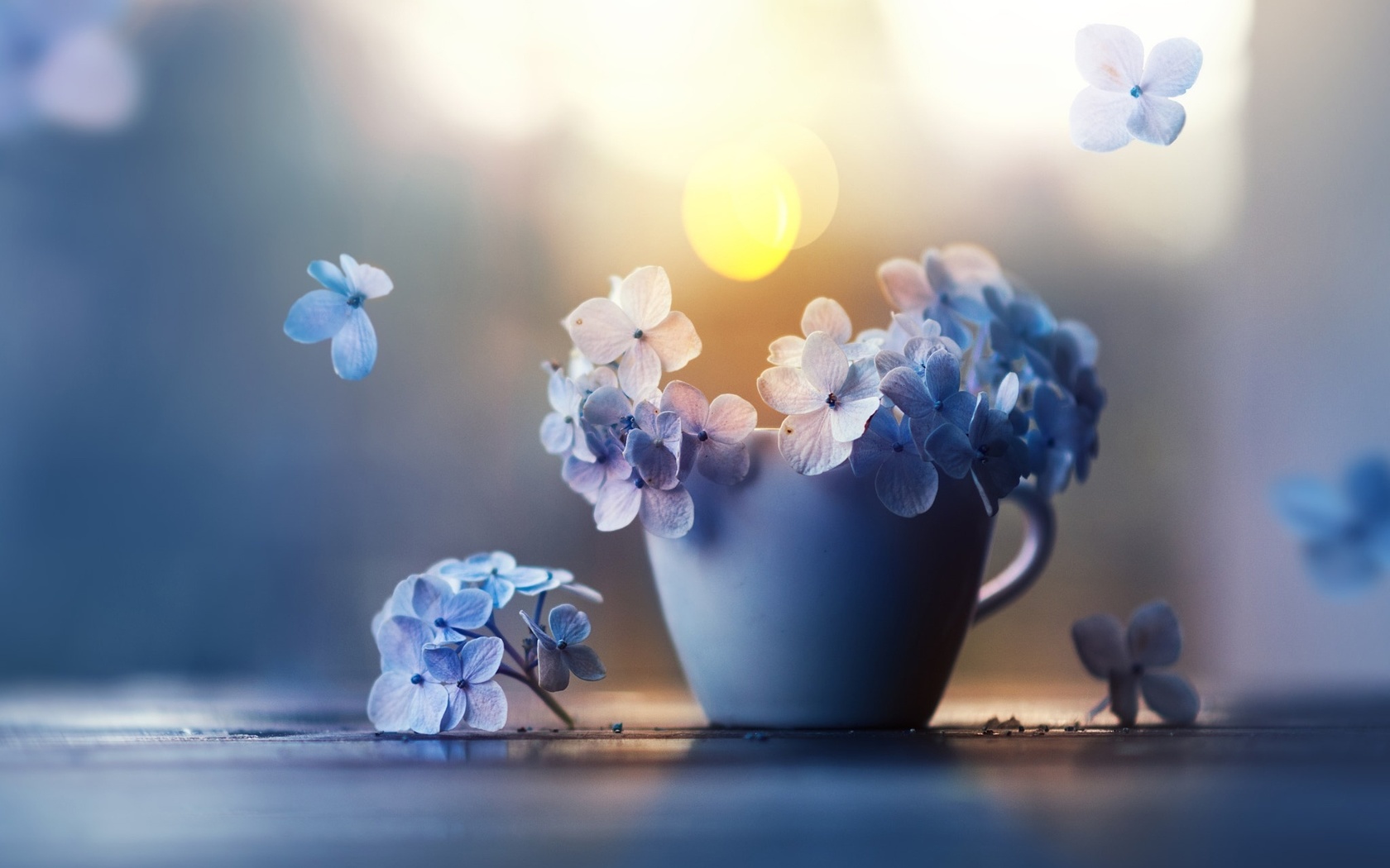 , , , , ashraful arefin