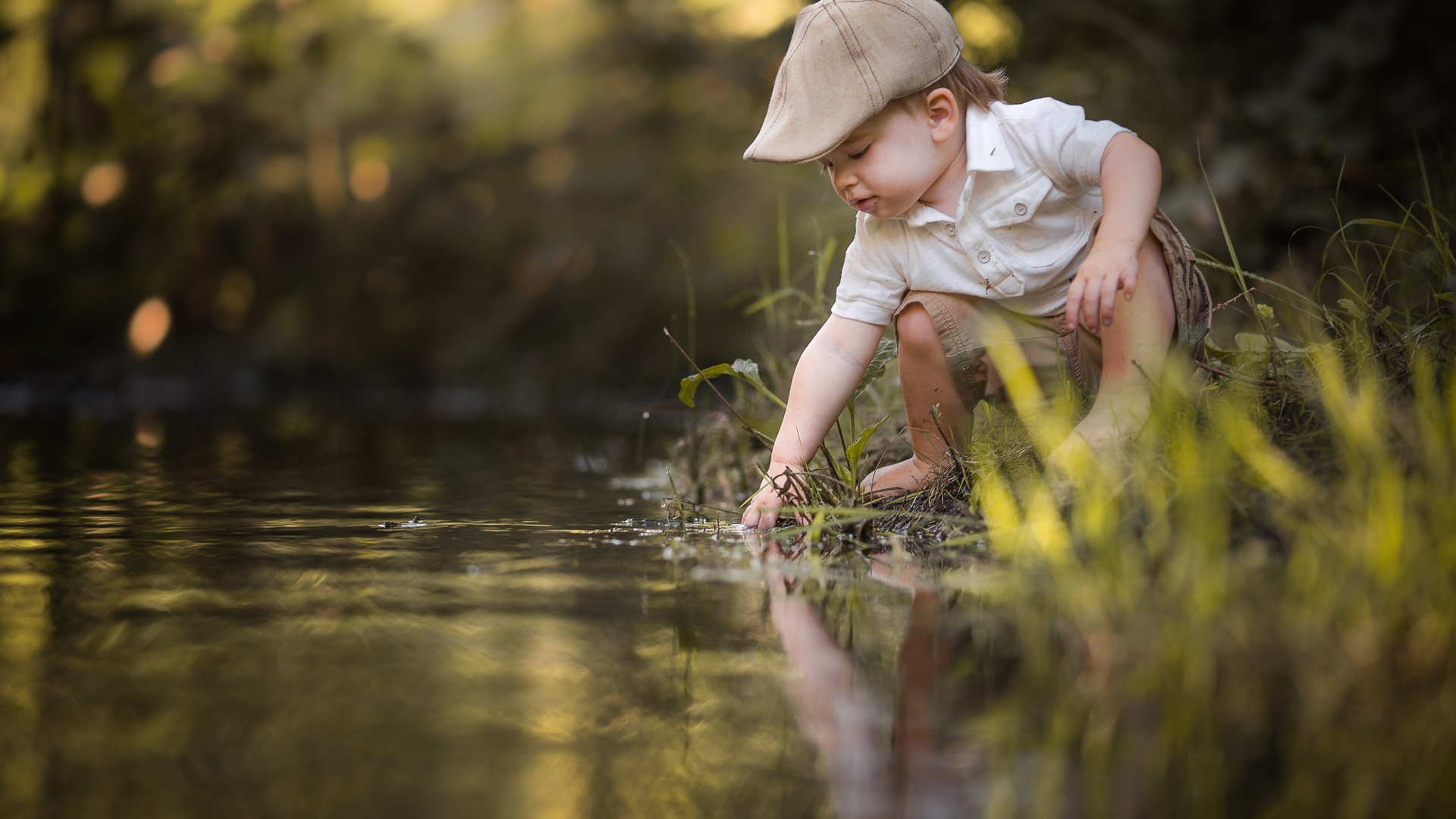 adrian c. murray, , , , , , , , 